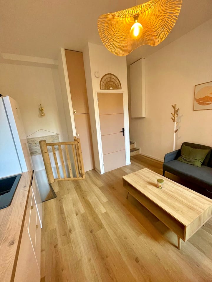 Duplex Sur Cour Arborée – Entre Gare Et Capitole - Toulouse