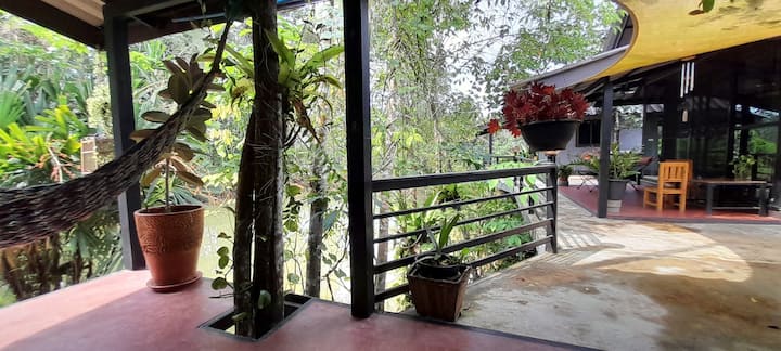 غرفة المعيشة