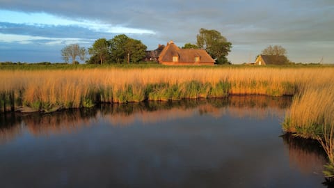 Successful Airbnb property: Thatched Cottage by the Lake in Dagebüll