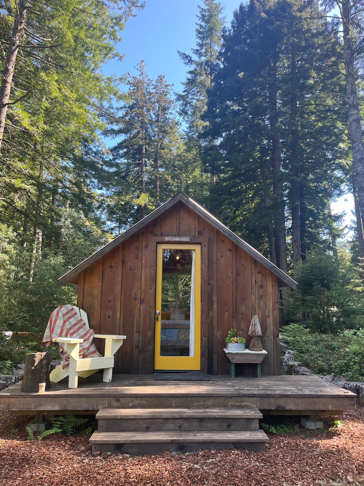 A charming wooden cabin is framed by towering trees, featuring a bright yellow door. A small porch with stairs leads to a cozy seating area, adorned with a throw blanket. Surrounding greenery enhances the inviting outdoor space.
