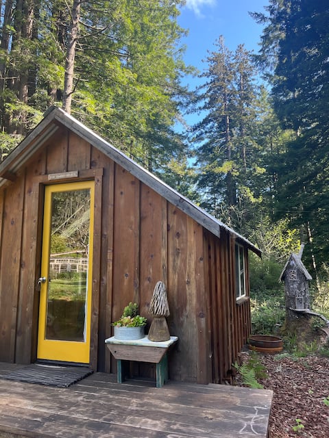 The Cedar Shack