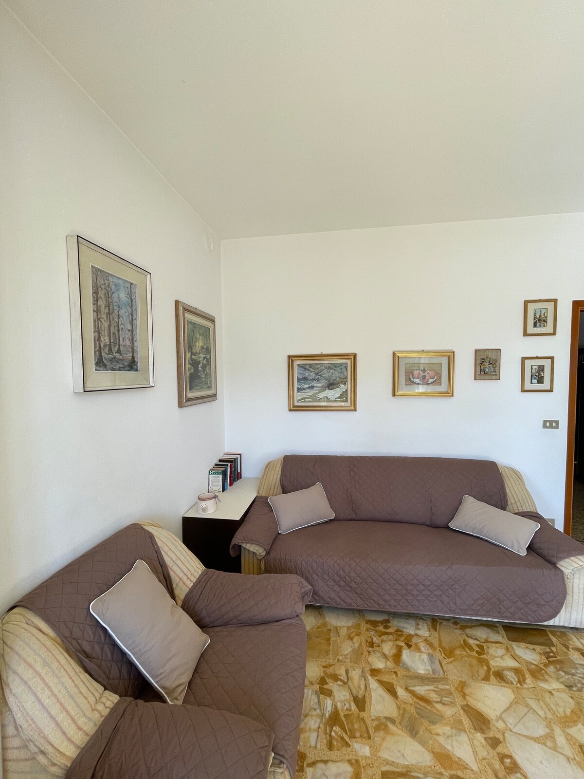 Successful Airbnb property: Ca' Franca spectacular view in San Siro