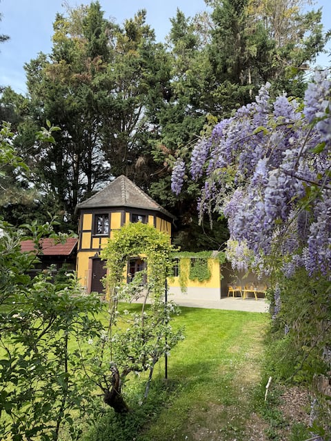 Parc du Séquoia 4*: The apiary near Colmar