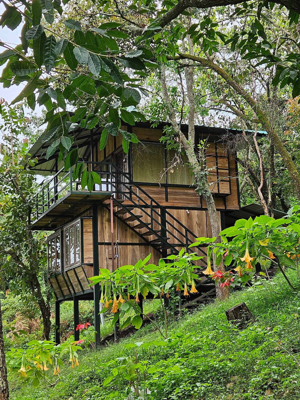 A wooden structure elevated on stilts is surrounded by lush greenery. Large windows reflect the natural light, showcasing the forest's vibrant leaves. A staircase leads to the entrance, while colorful flowers frame the base of the building, adding a natural touch to the serene setting.
