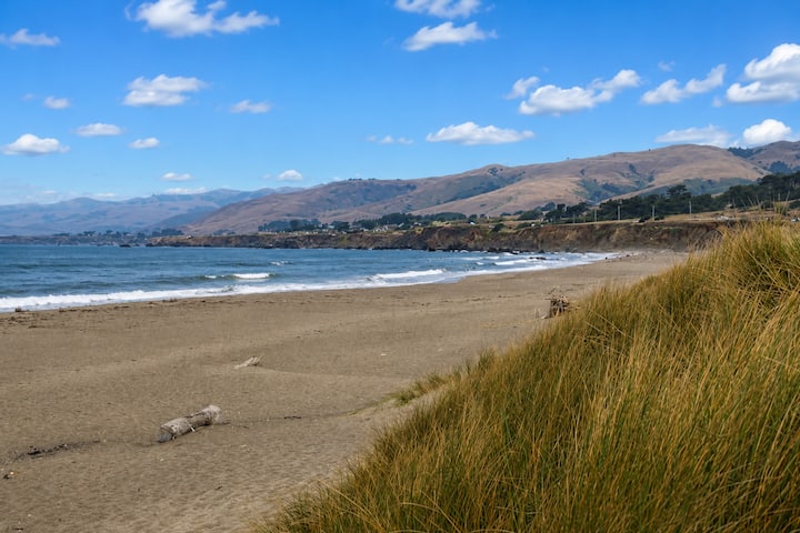 Fisherman's Cottage~walk To Beach! In Bodega Bay! - Bodega Bay, CA