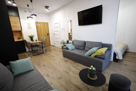 Popular Airbnb listing: Apartament LUX in Gmina Zator