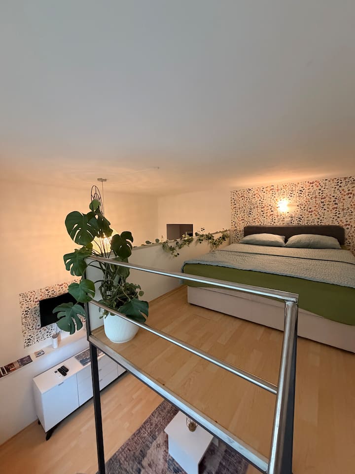 Studio Apartman - Faro - Rijeka