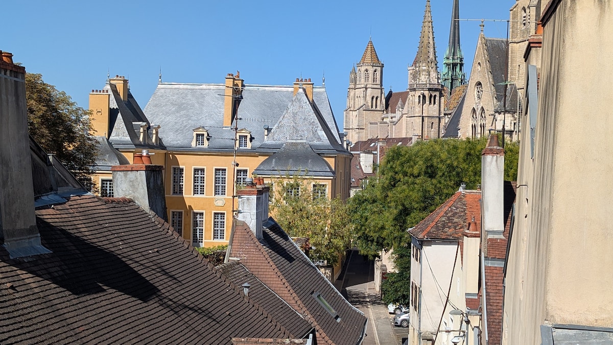 Successful Airbnb property: Dijon's Best View. 90 sq/m airconditioned apart. in Centre Ville