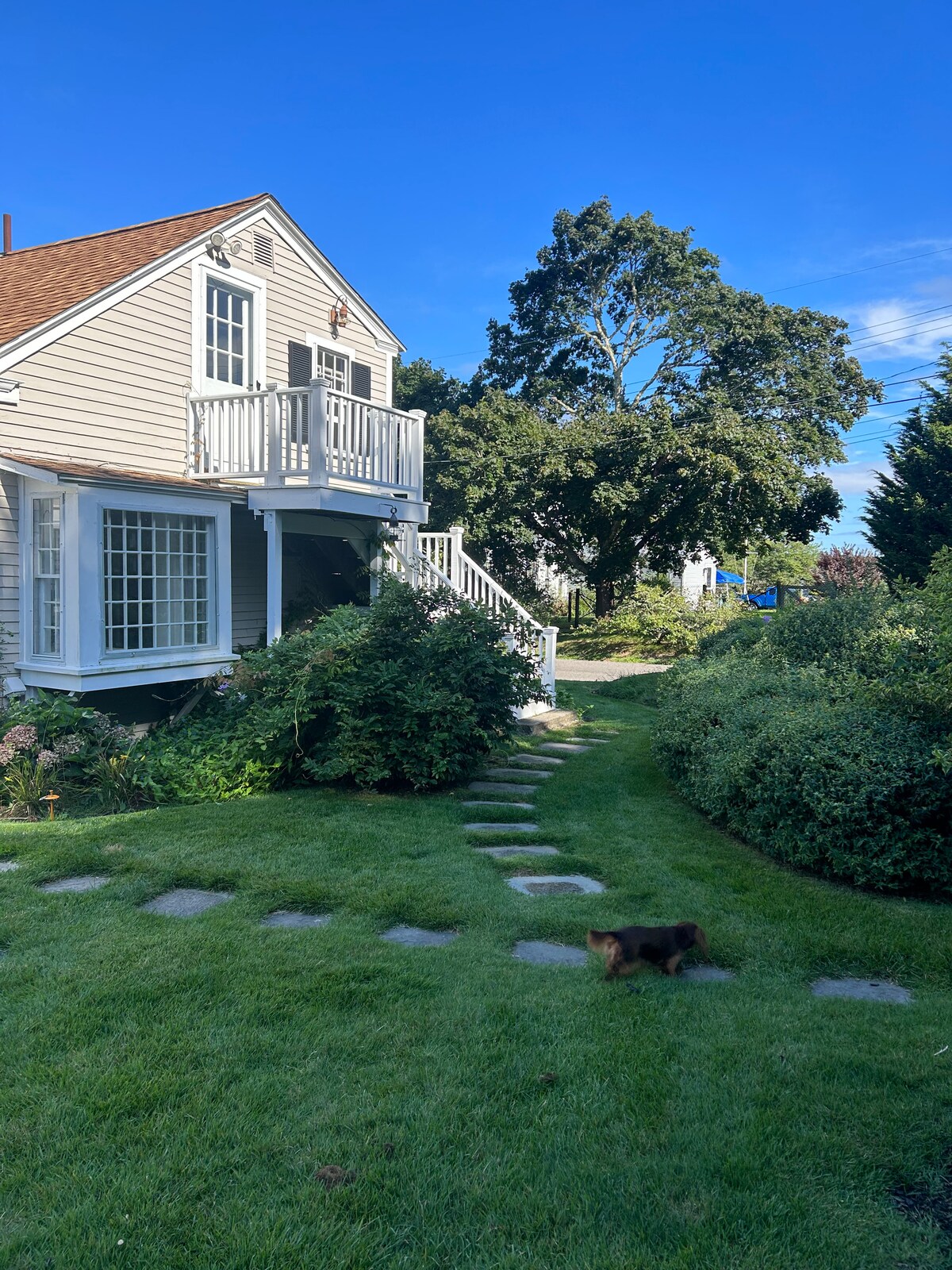 The charming Cape Cod home is surrounded by lush green grass and garden beds. Stone steps lead to a welcoming entrance, with a balcony above framed by bright white railings. A small dog is seen exploring the yard, enhancing the inviting outdoor space.