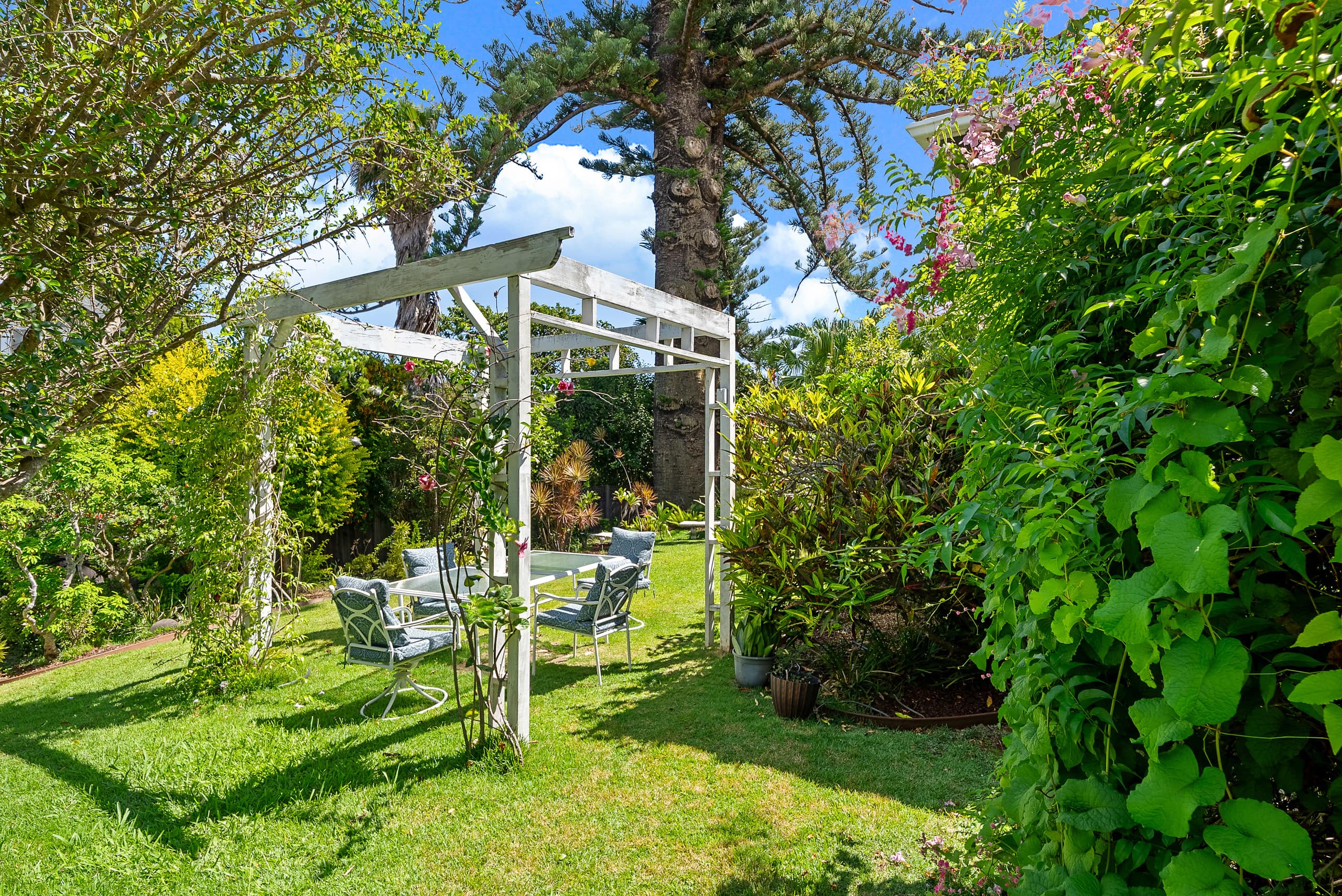 Guesthouse in Makawao · ★4.94 · 2 bedrooms · 2 beds · 1 private bath - Image 17