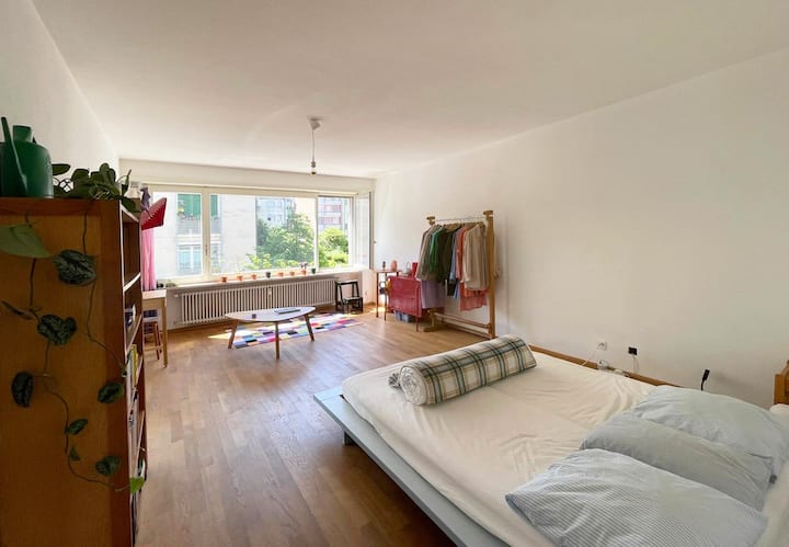 Beautiful Bright Apartment - Lörrach