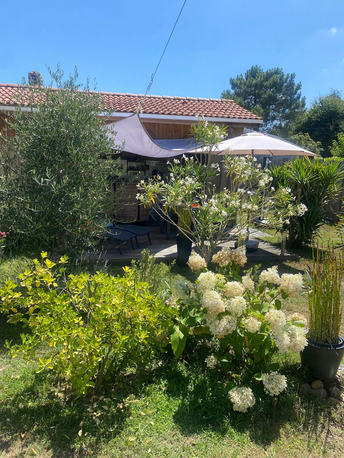 A garden area features a variety of plants and flowers, including white hydrangeas and lush greenery. A shaded terrace with umbrellas provides a comfortable outdoor space. The facade of the house is partially visible, showcasing its inviting architecture under a clear blue sky.