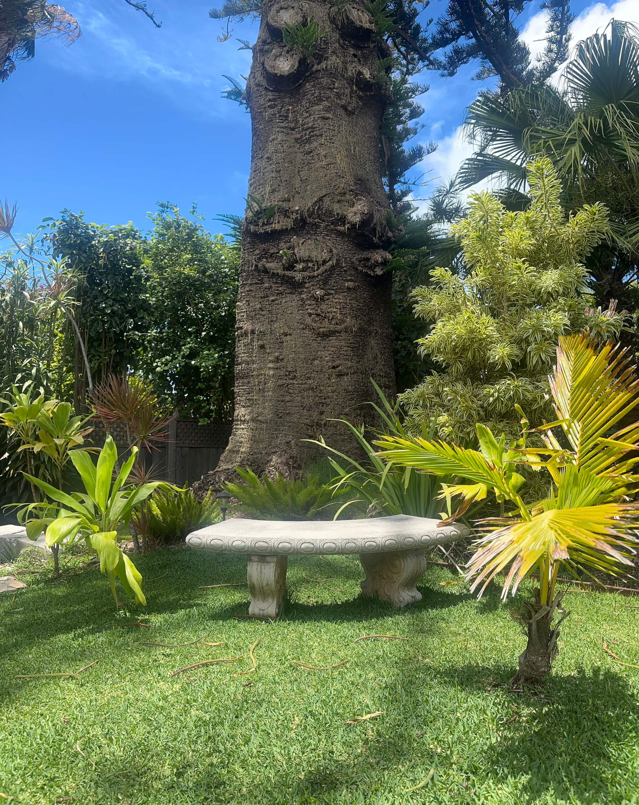 Guesthouse in Makawao · ★4.95 · 1 bedroom · 1 bed · 1 private bath - Image 19