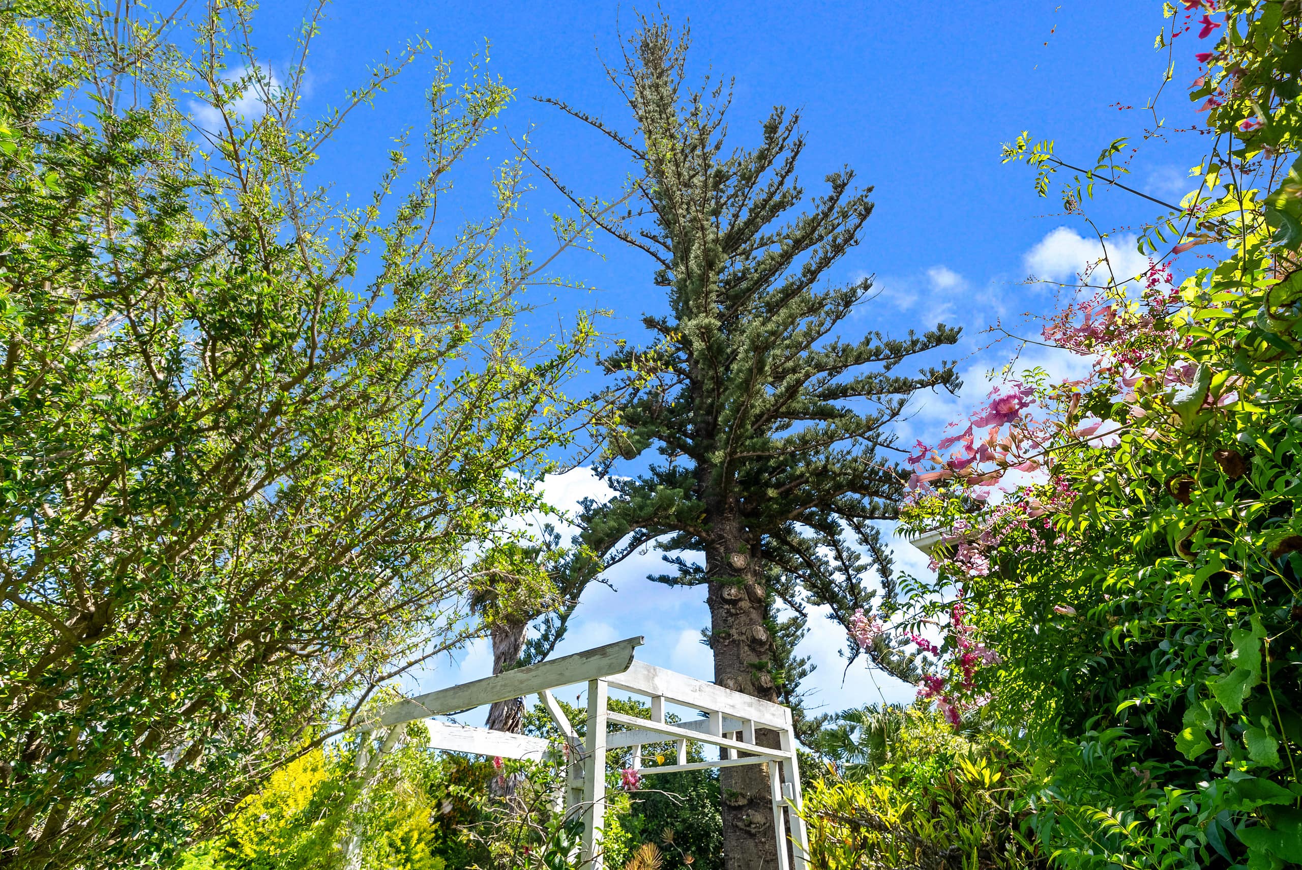 Guesthouse in Makawao · ★4.95 · 1 bedroom · 1 bed · 1 private bath - Image 17
