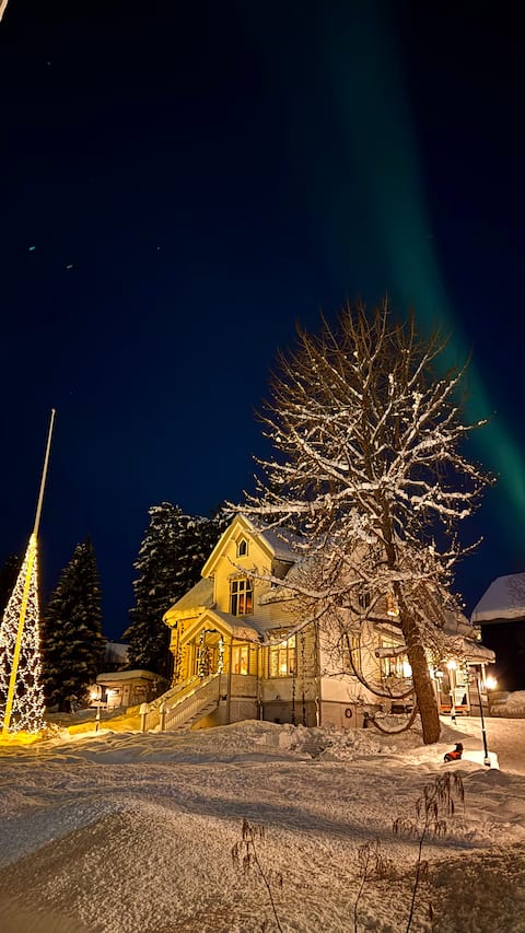 Popular Airbnb listing: Centrally located with amazing views in Tromsø Sentrum Core