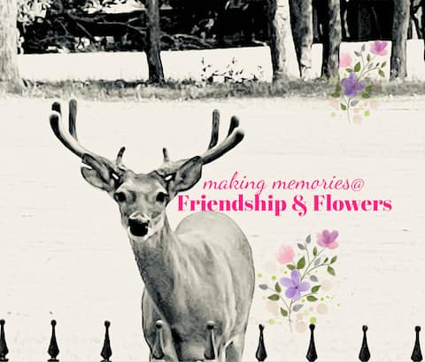 making memories @
Friendship & Flowers