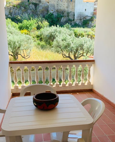 House among the olive trees Motta S. G.-vacation in Reggio C.