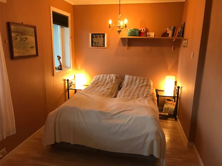 Chambre 5