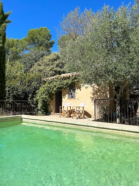Stylish vacation home with pool in Provence