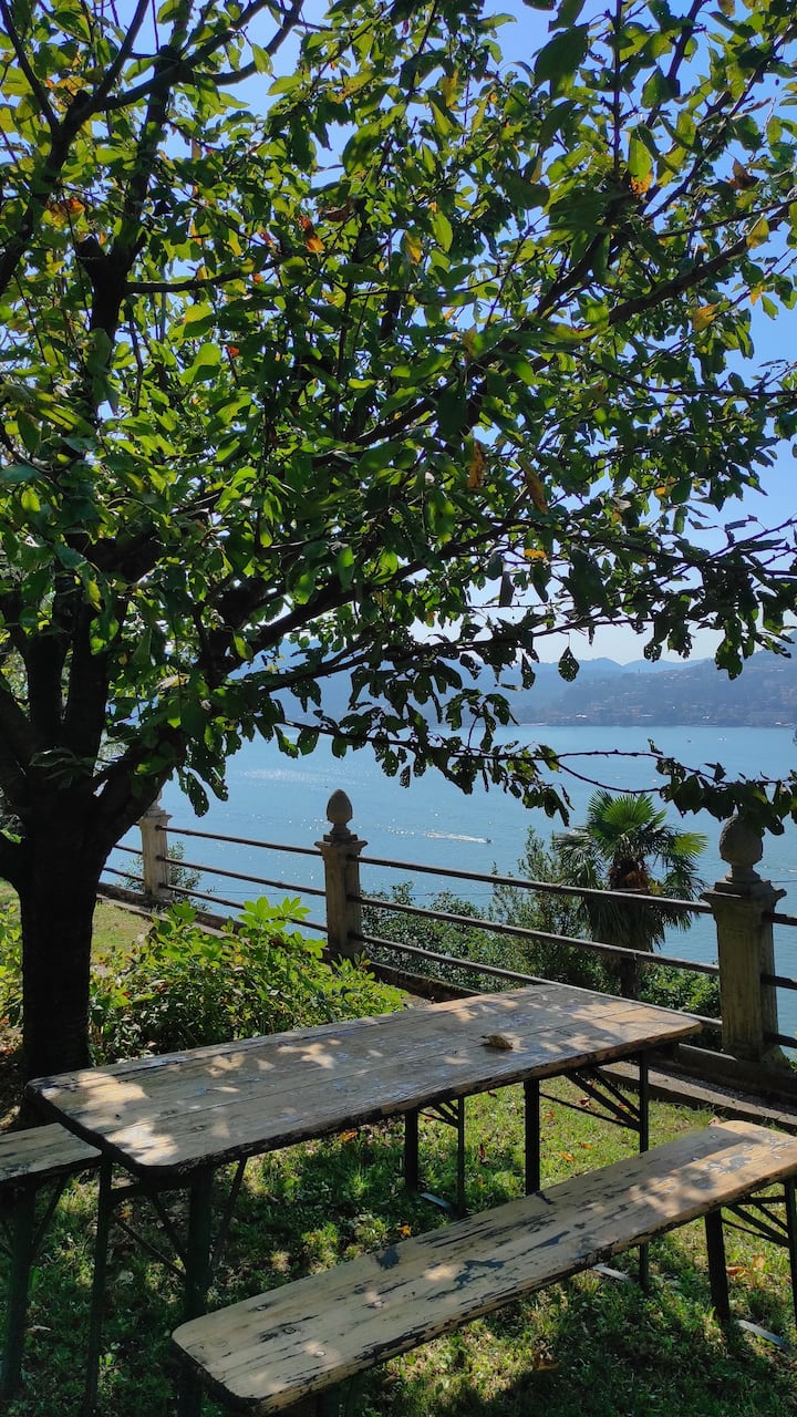 Prunus Avium - Casa Vista Lago - Lake Como