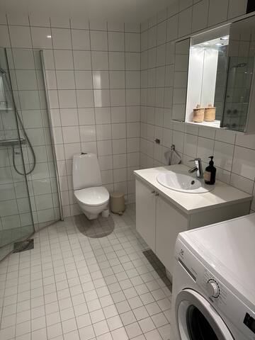 Stor, lys og sentral leilighet gallery image 5