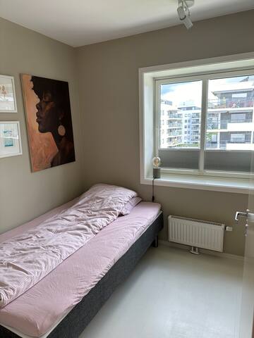 Stor, lys og sentral leilighet gallery image 4