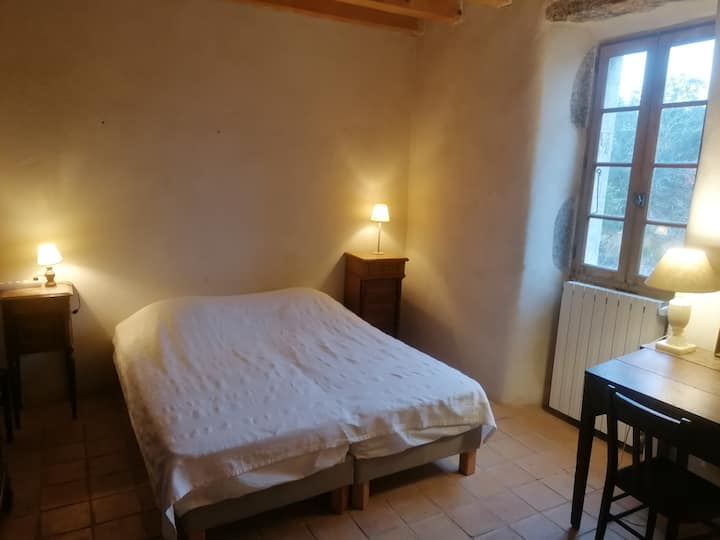 Habitación 1