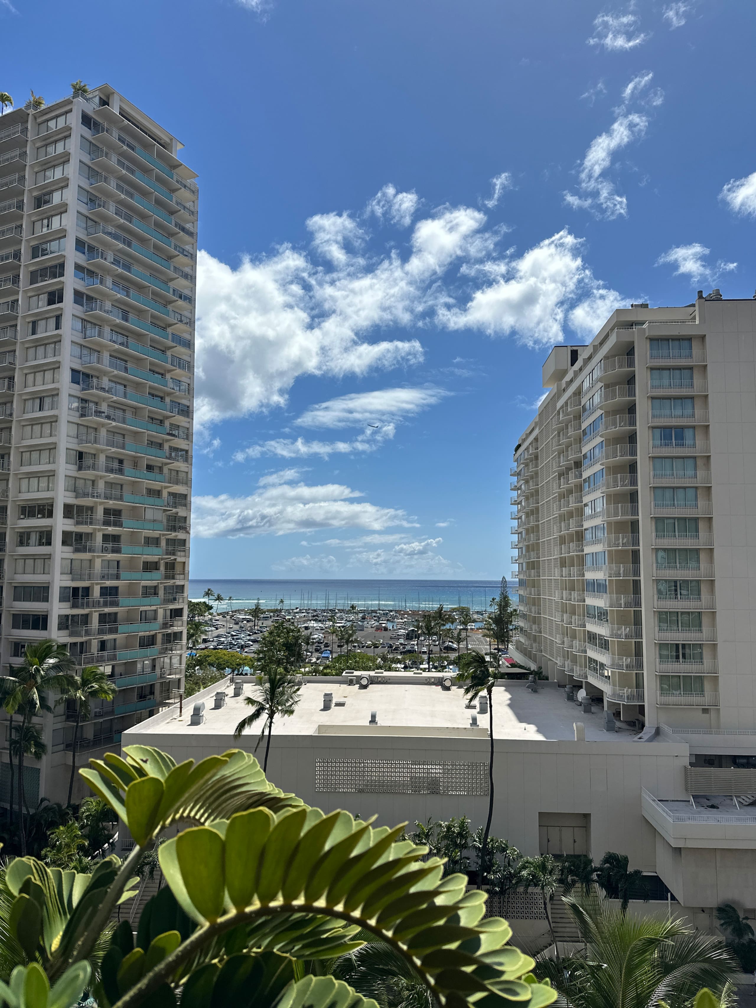 Discover Paradise Waikiki~Free Designated Parking! - Image 35