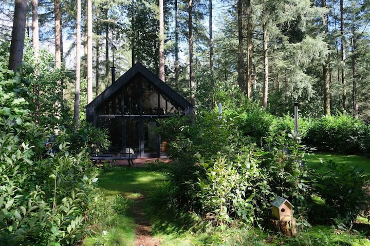 Luxury forest house, dog-friendly | Emst, Veluwe
