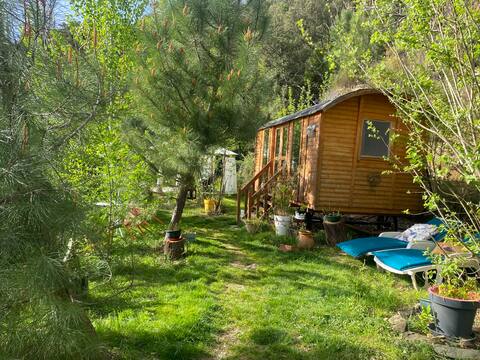 Nature caravan with pool.
And a hot tub