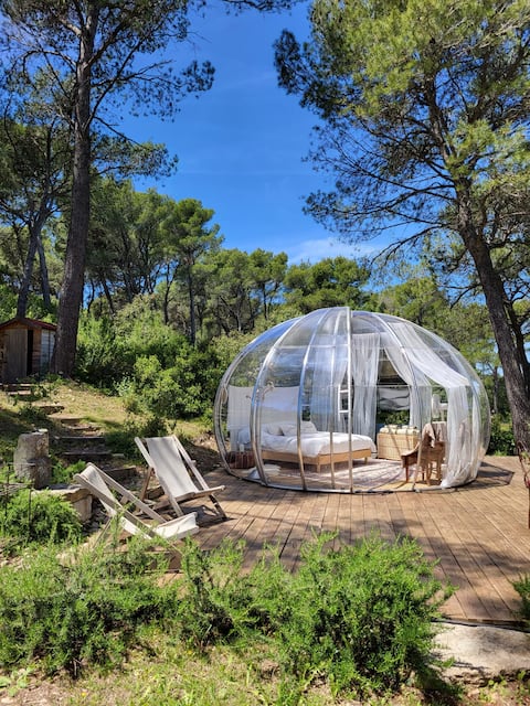 Annonce Airbnb populaire: Le Dôme du Mazet à Saint Rémy De Provence