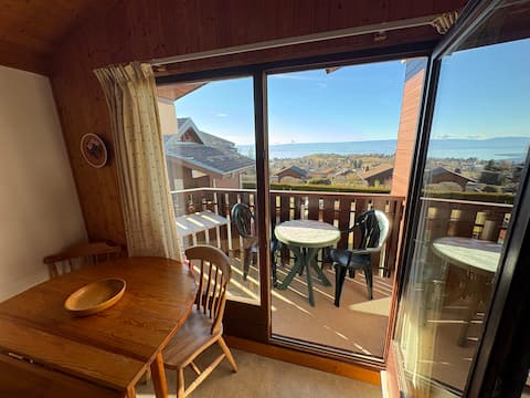 Top performing Airbnb: Cosy apartment with lake views in Thollon Les Mémises
