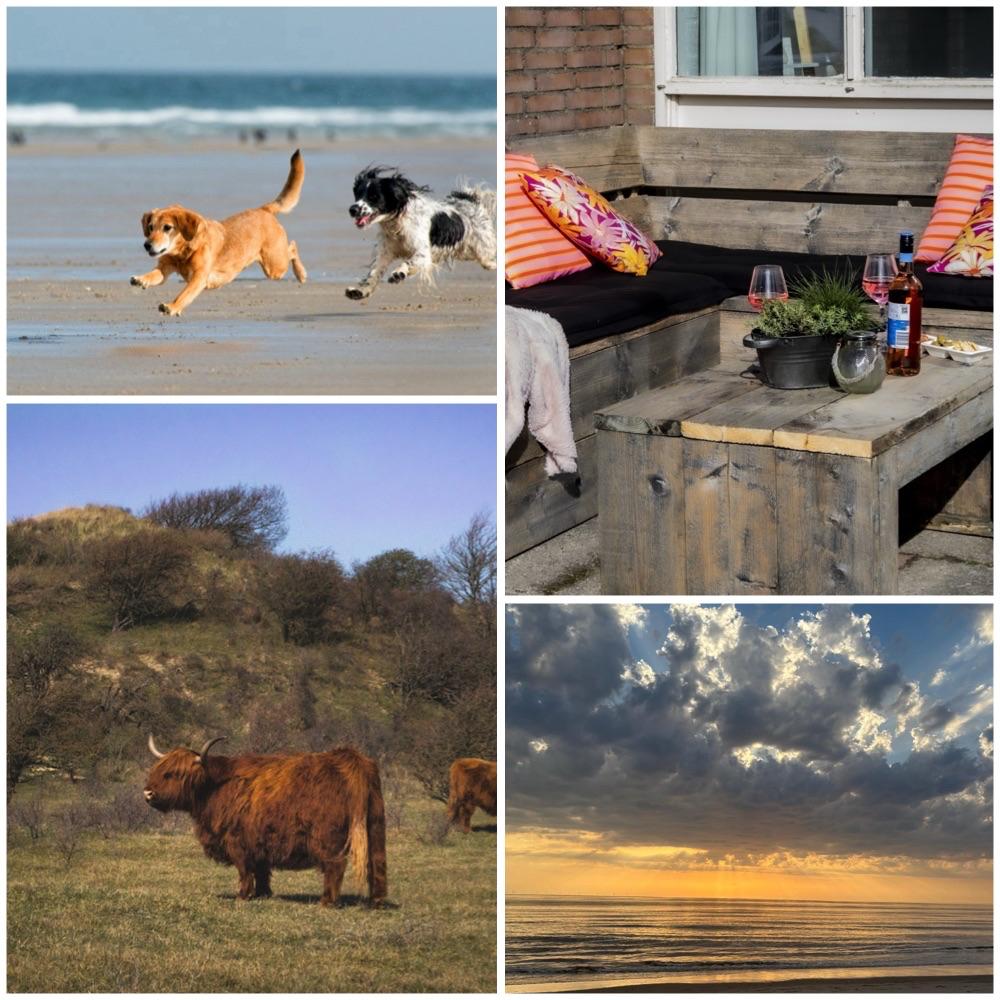 Popular Airbnb listing: 6-person house with garden near the beach & dunes in Schoorldam