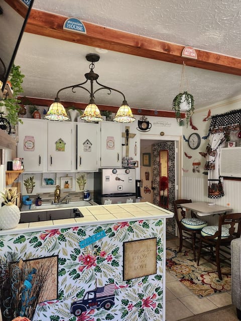 Cozy private one bedroom guest apt suite