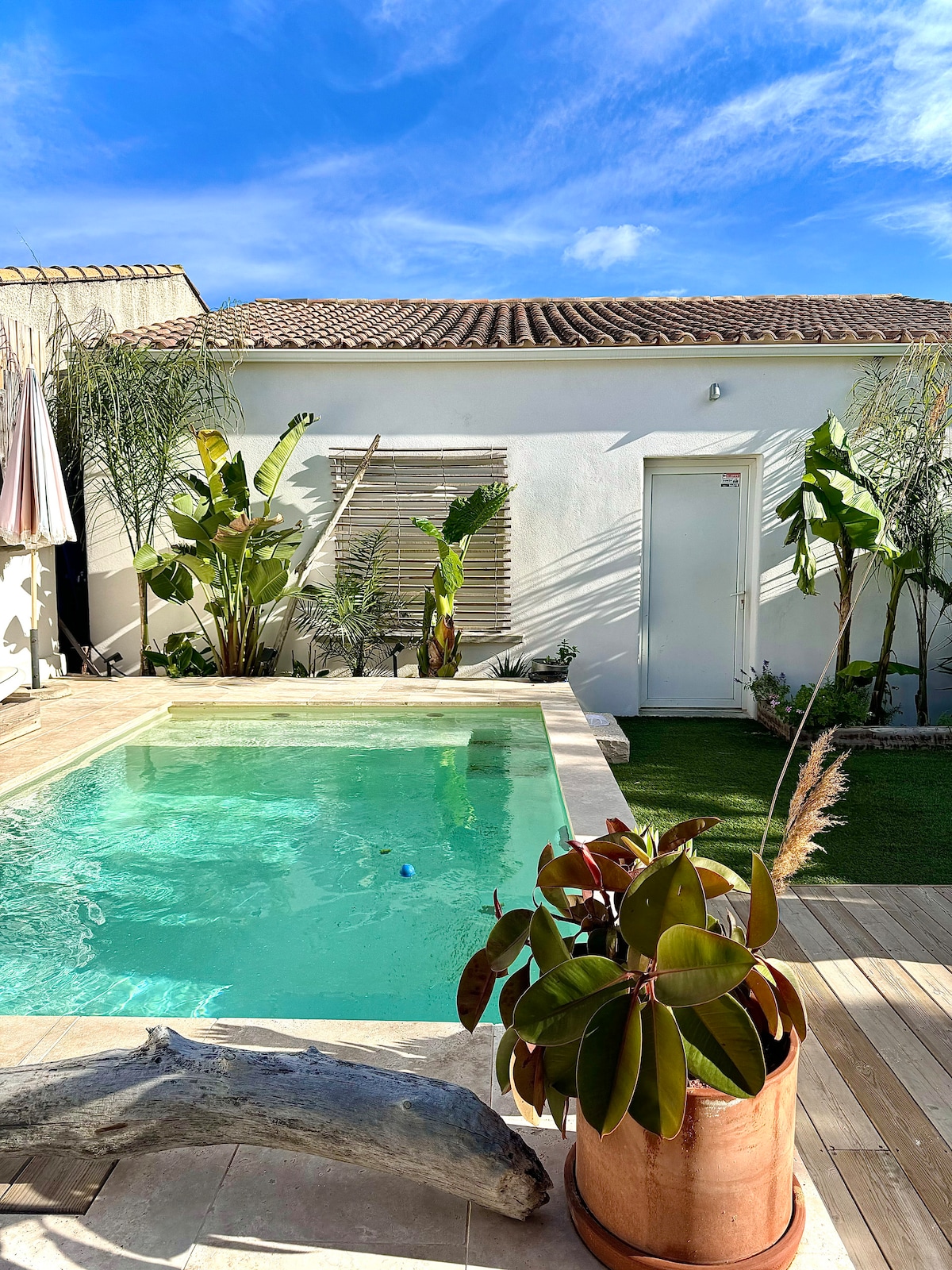 A serene outdoor area features a saltwater pool surrounded by tropical plants and greenery. A wooden deck enhances the space, while a stylish copper planter adds a touch of warmth. The clear blue sky creates a bright and inviting atmosphere.