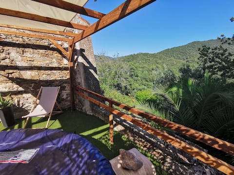 Mas Lou Castanea - Amandre House in the Heart of Nature