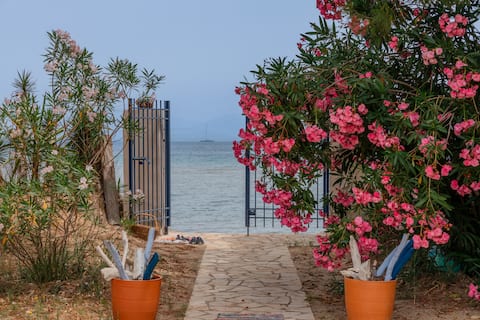 dream seaside villa with direct beach access