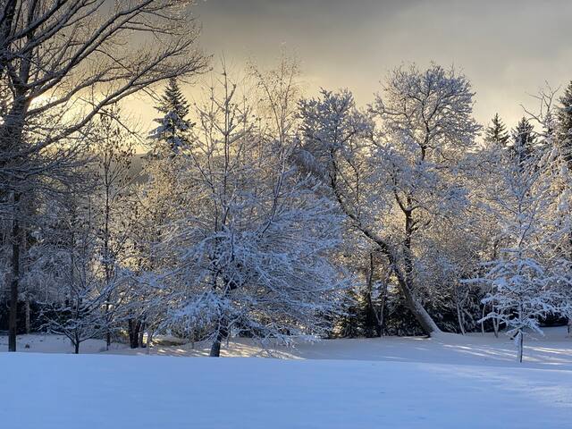 Design Villa in la Cerdaña gallery image 3