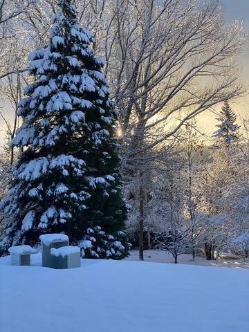 Design Villa in la Cerdaña gallery image 5