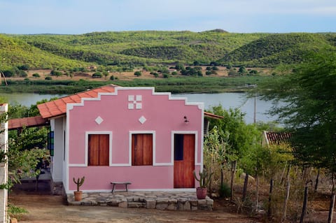 Ninho Ilha do Ferro House