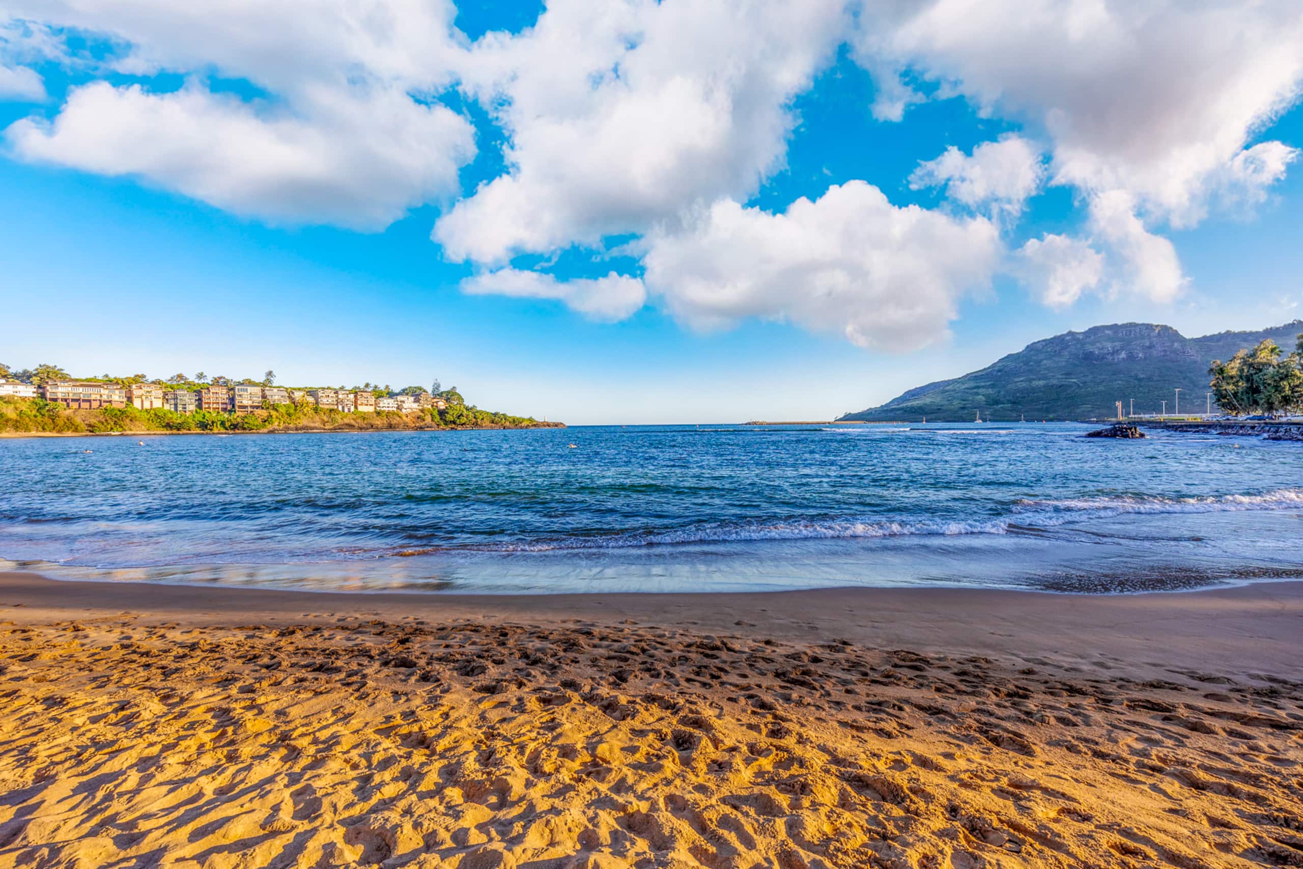 Honu Hale Banyan Harbor Lihue - Photo 62