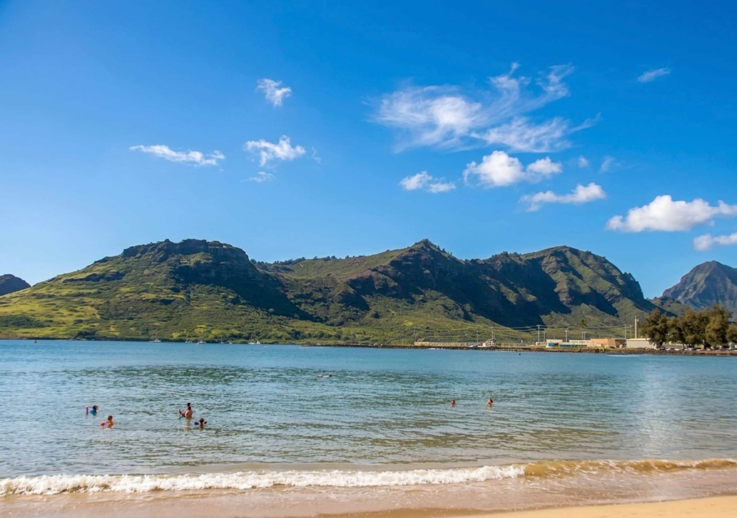 Honu Hale Banyan Harbor Lihue - Photo 60