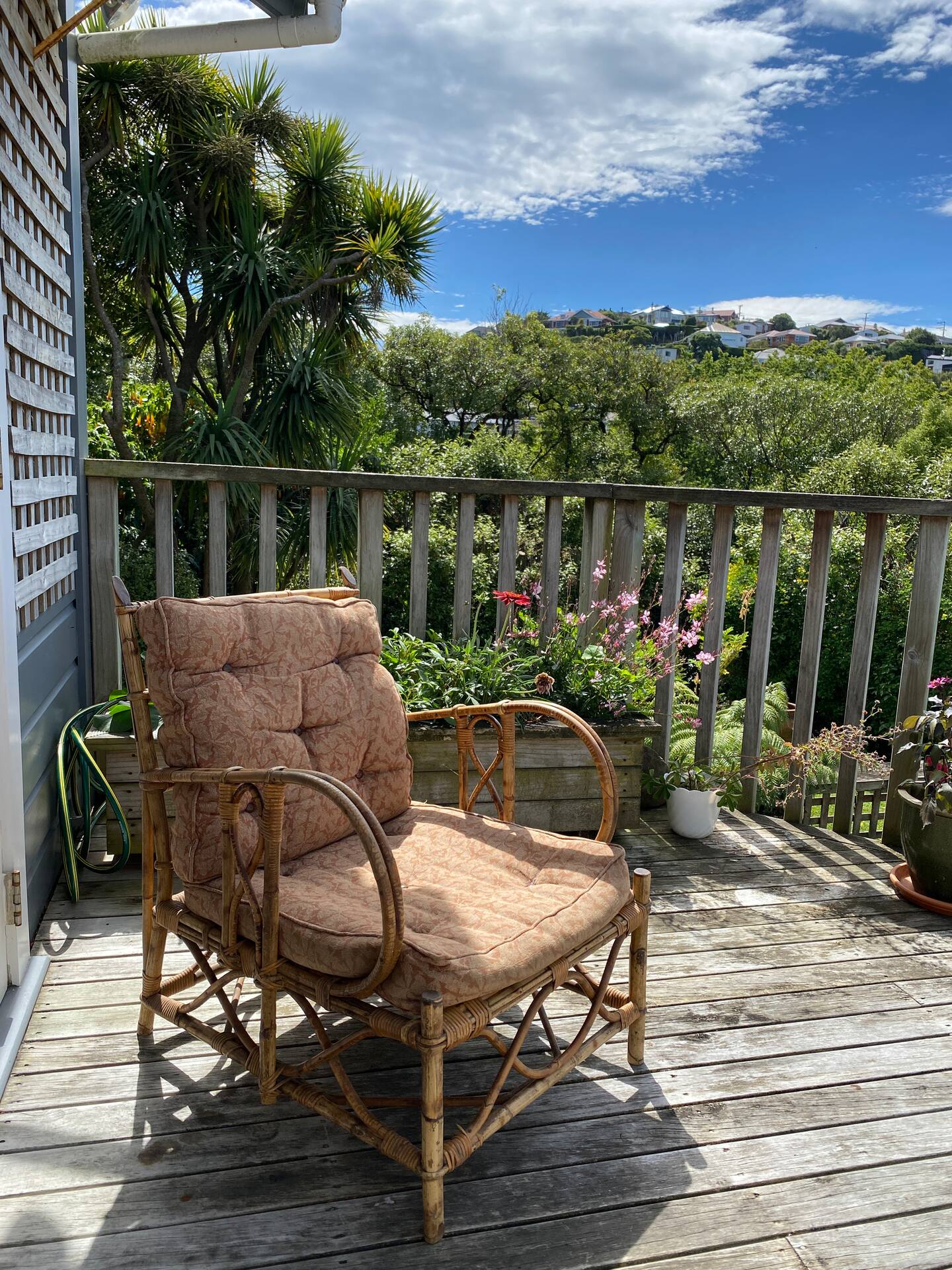 Cottage On Aotea 2