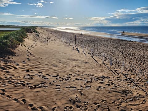 Salt & Sand Cottage | Aboiteau Beach & Dunes