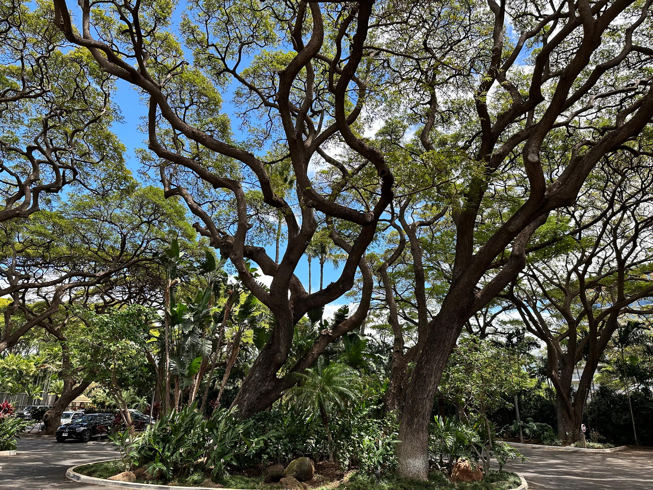 Mahana at Kaanapali- Beachfront Walkout Jewel - Image 17