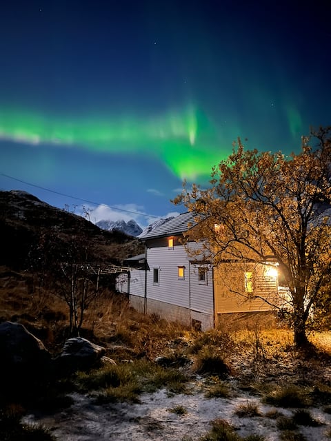 Photo-Perfect Escape in Lofoten