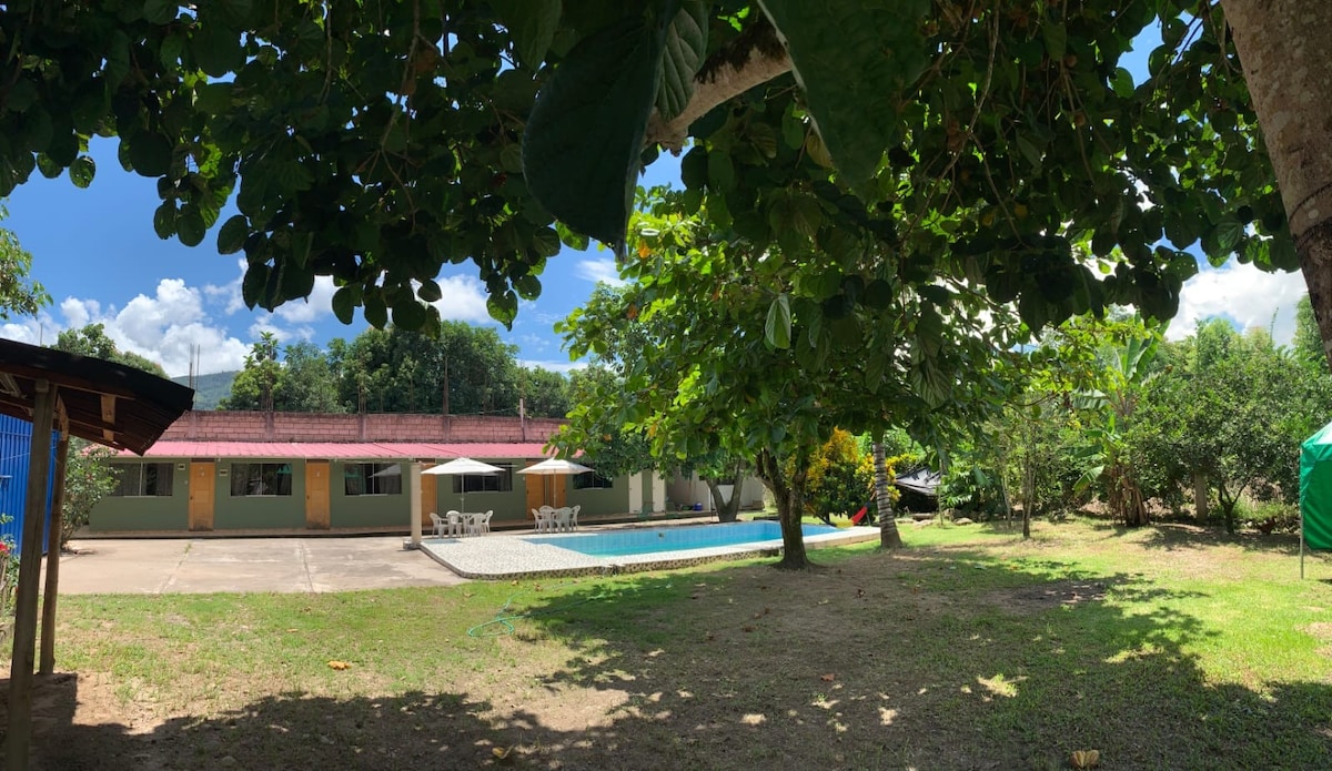 A spacious outdoor area is framed by large trees, providing ample shade. A clear swimming pool is visible, surrounded by sun loungers and patio umbrellas. Multiple buildings are positioned nearby, offering various spaces for family activities amidst the well-maintained greenery.