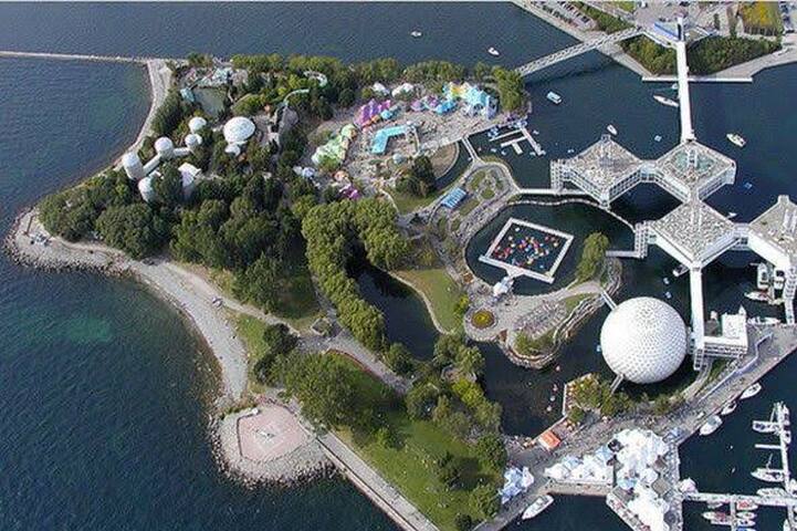 Luxury 3 bed Steps from CN/ Rogers/ Parking gallery image 4