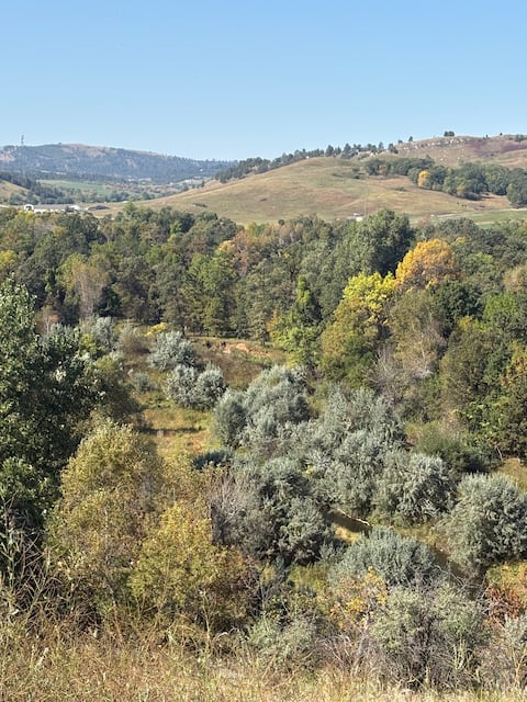 Beautiful Log Home W/ Fall Views!