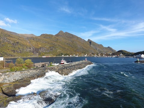 Lofotenvilla by the sea.